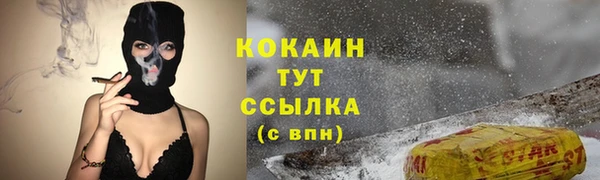 сатива Армянск