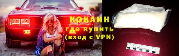 сатива Армянск