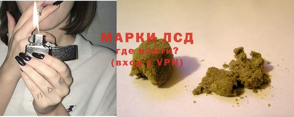 сатива Армянск