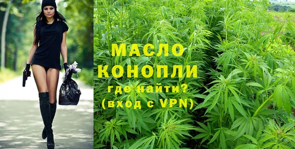 сатива Армянск