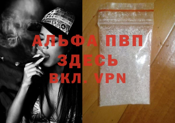 сатива Армянск